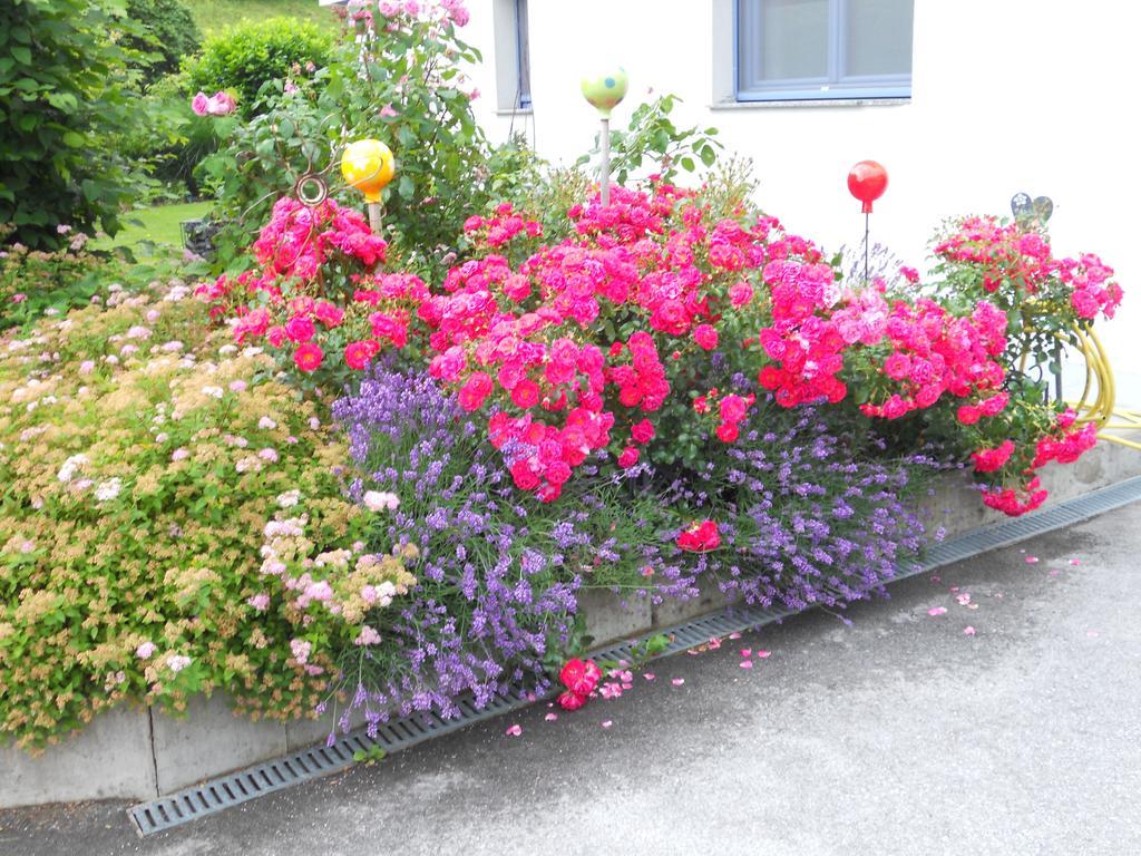 Haus Handle Grins Exterior foto